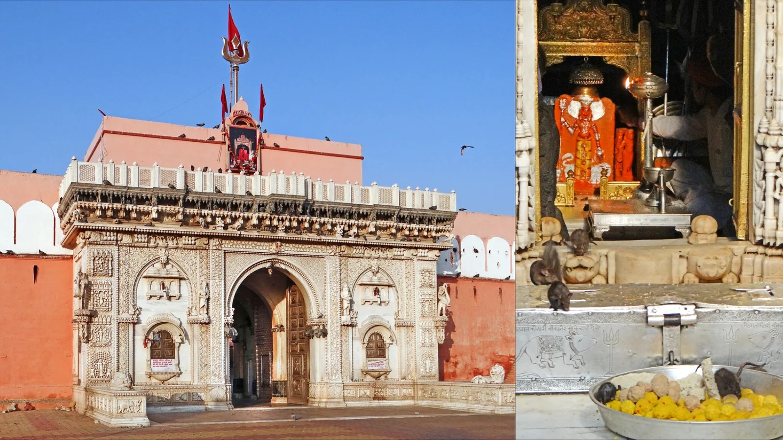 Karni Mata Temple
